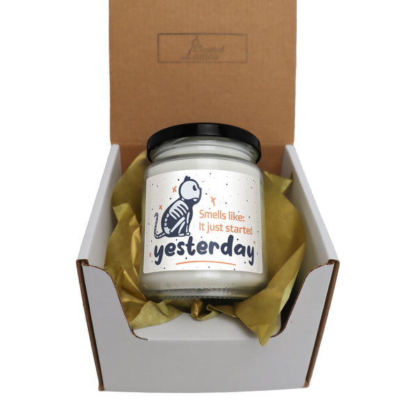 Smells like it just started yesterday Scented Soy Candle-Candles-I love Veterinary