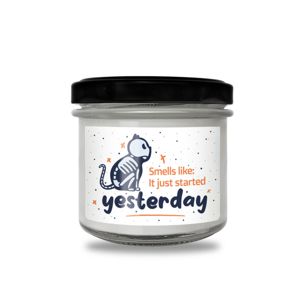 Smells like it just started yesterday Scented Soy Candle-Candles-I love Veterinary