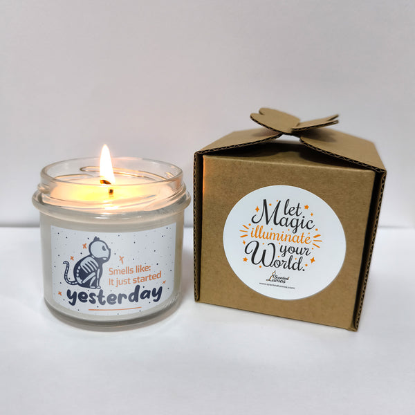 Smells like it just started yesterday Scented Soy Candle-Candles-I love Veterinary