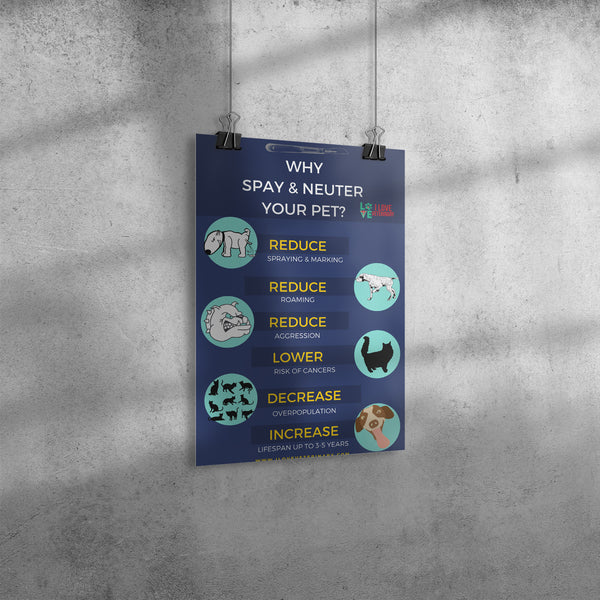 Why spay and neuter your pet? 8x12-Poster-I love Veterinary