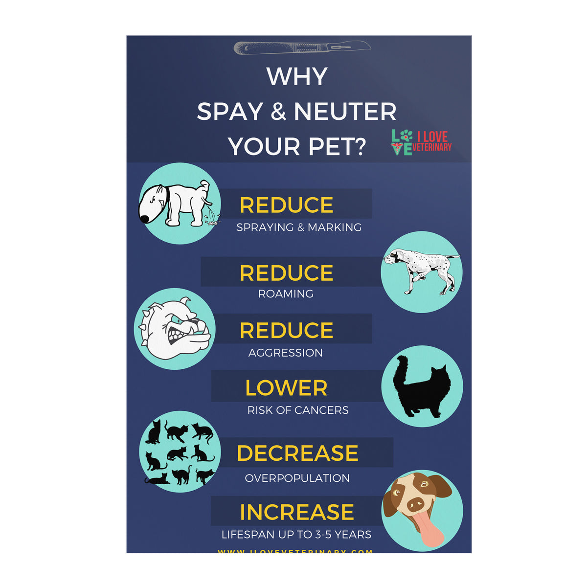 Why spay and neuter your pet? 8x12-Poster-I love Veterinary