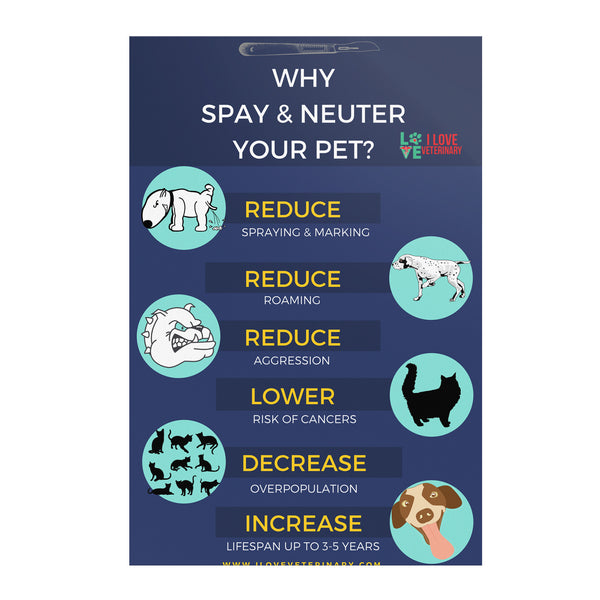 Why spay and neuter your pet? 8x12-Poster-I love Veterinary