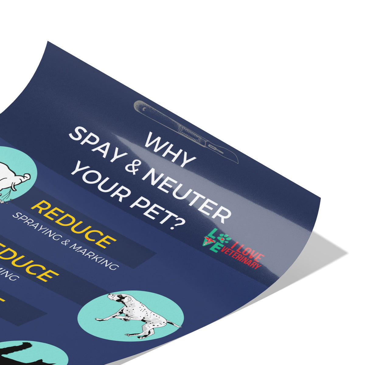 Why spay and neuter your pet? 8x12-Poster-I love Veterinary