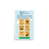 Signs of Dehydration in Dogs Poster-Posters-I love Veterinary