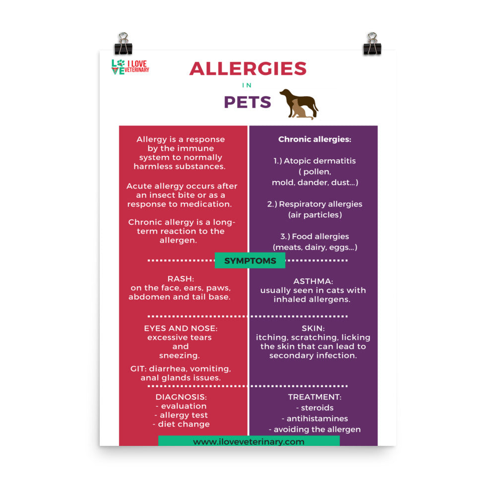 Allergies in Pets Poster-Enhanced Matte Paper Poster-I love Veterinary