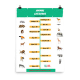 Animal Lifespans Poster-I love Veterinary