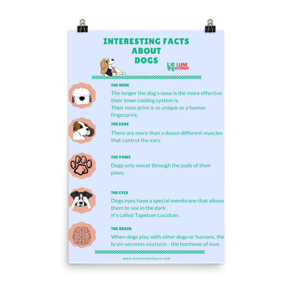 Interesting Facts about Dogs Poster-I love Veterinary