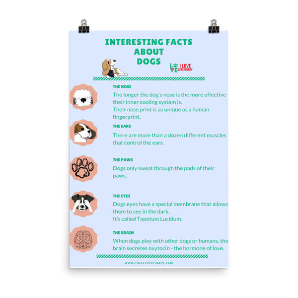 Dogs Fact Card Interesting Facts about Dogs Poster – I love Veterinary