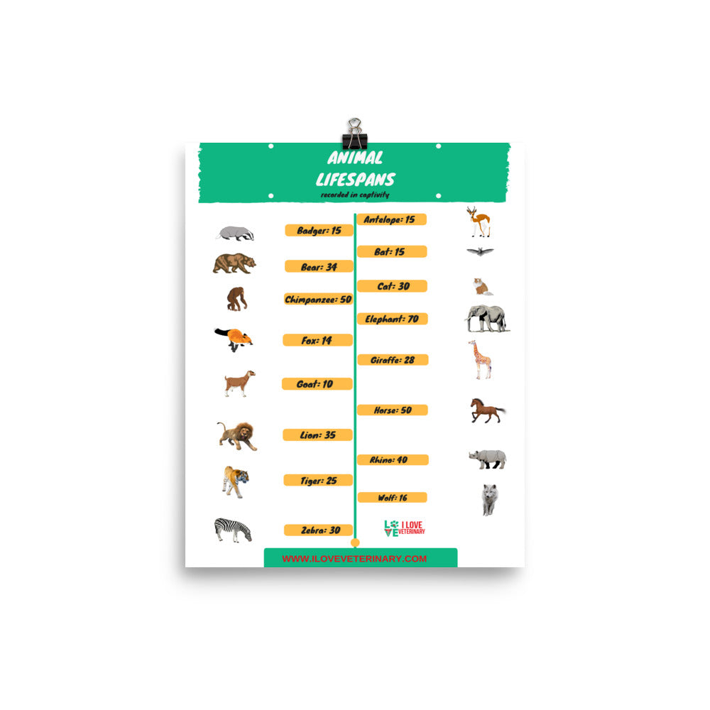 Animal Lifespans Poster-Enhanced Matte Paper Poster-I love Veterinary