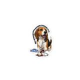 Nice catheter! Bubble-free stickers-I love Veterinary