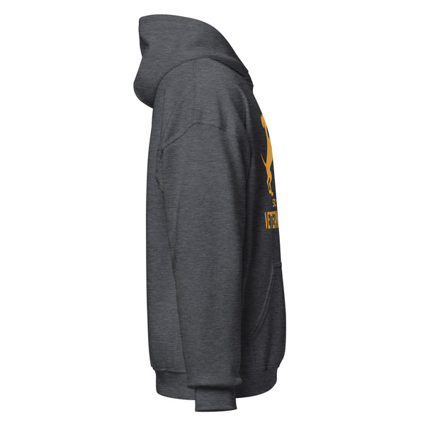 50 Shades of Veterinary Medicine Unisex Hoodie-I love Veterinary