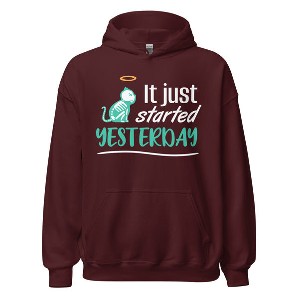 It just started yesterday Unisex Hoodie-Unisex Hoodie | Gildan 18500-I love Veterinary