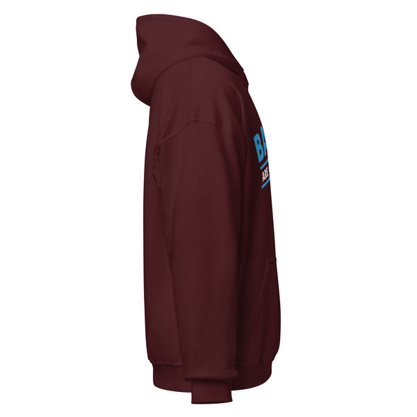 Veterinary - Balls are Overrated Unisex Hoodie-I love Veterinary