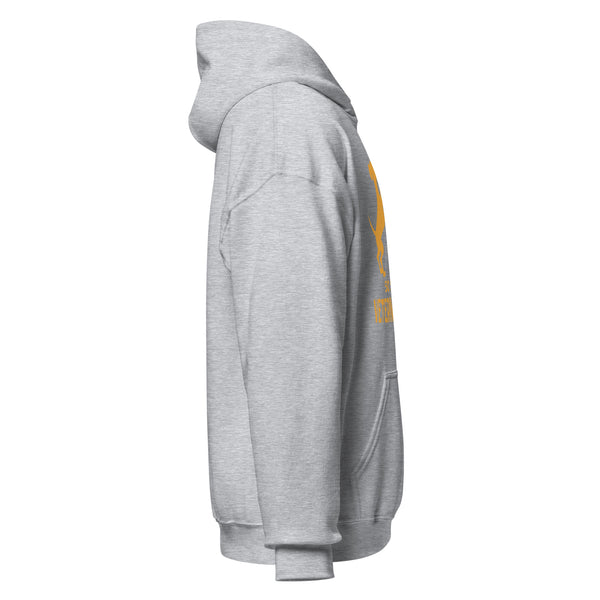 50 Shades of Veterinary Medicine Unisex Hoodie-I love Veterinary