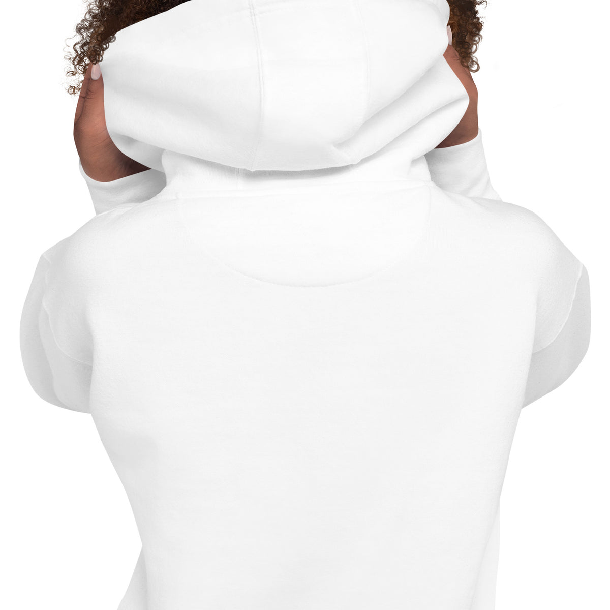 I'm a vet receptionist, I solve problems 2 Women's Premium Hoodie-I love Veterinary