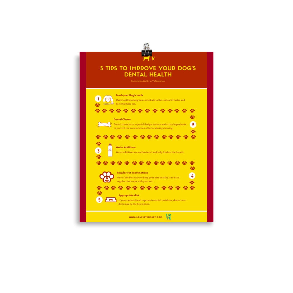 5 Tips to improve your dog’s dental health Poster-Posters-I love Veterinary