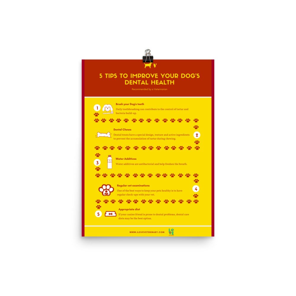 5 Tips to improve your dog’s dental health Poster-Posters-I love Veterinary
