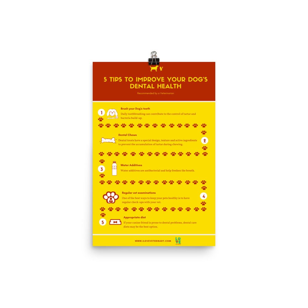 5 Tips to improve your dog’s dental health Poster-Posters-I love Veterinary