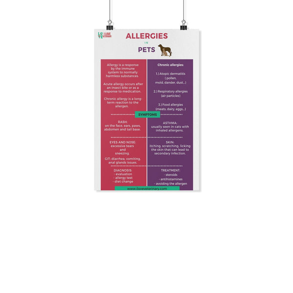 Allergies in Pets Poster-Posters 2-I love Veterinary