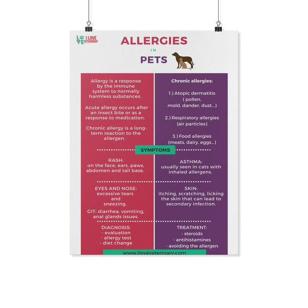 Allergies in Pets Poster-Posters 2-I love Veterinary