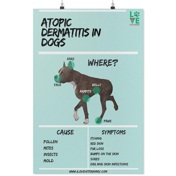 Atopy5 Dogs Atopic Dermatitis in Dogs Poster – I love Veterinary