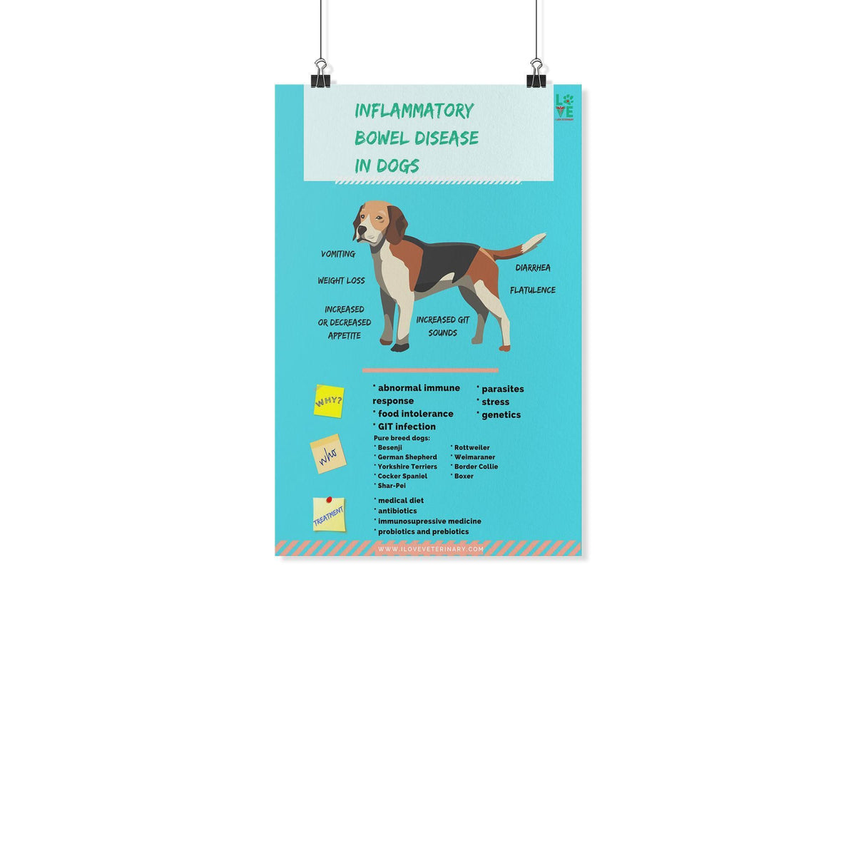 Canine Bowel Disease Poster-Posters-I love Veterinary