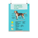 Canine Bowel Disease Poster-Posters-I love Veterinary
