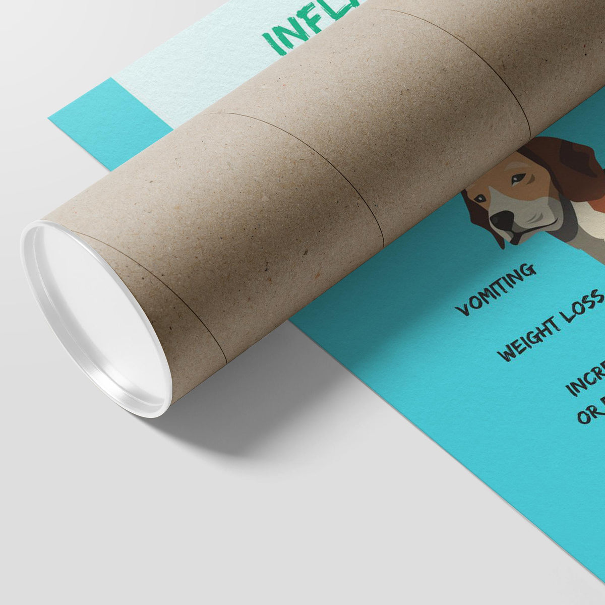 Canine Bowel Disease Poster-Posters-I love Veterinary