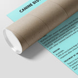 Canine Distemper Poster-Posters-I love Veterinary