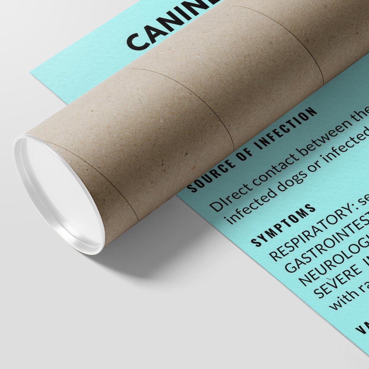 Canine Distemper Poster-Posters-I love Veterinary