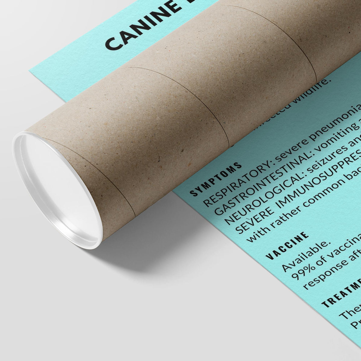 Canine Distemper Poster-Posters-I love Veterinary