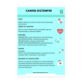 Canine Distemper Poster 8x12-Posters-I love Veterinary