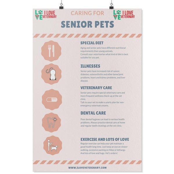 Caring for Senior Pets Poster-Posters-I love Veterinary