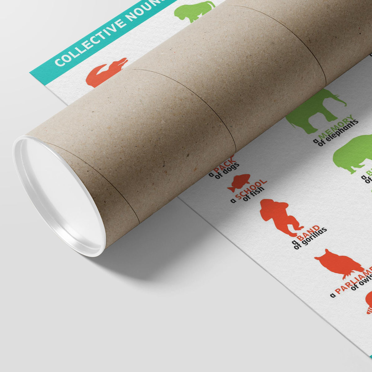 Collective Nouns for Animal Groups Poster-Posters-I love Veterinary