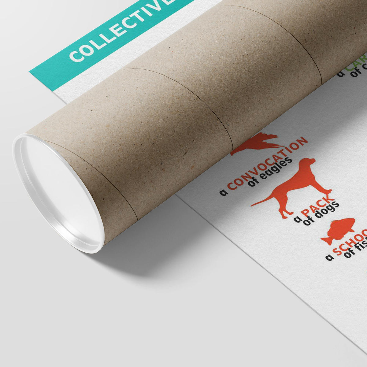 Collective Nouns for Animal Groups Poster-Posters-I love Veterinary
