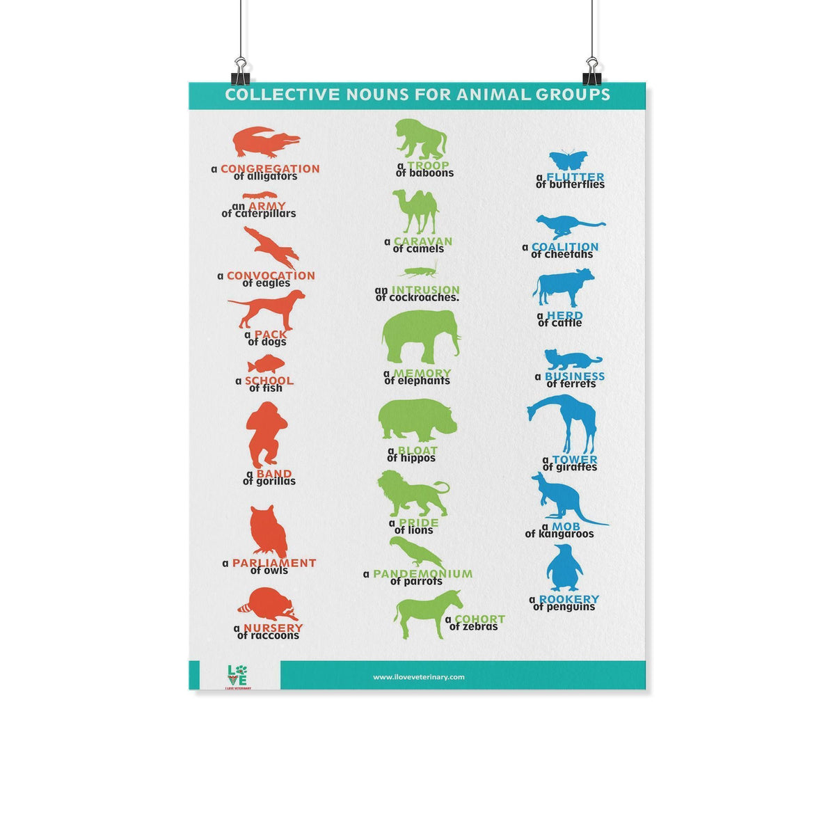 Collective Nouns for Animal Groups Poster-Posters-I love Veterinary