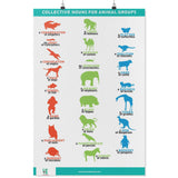 Collective Nouns for Animal Groups Poster-Posters-I love Veterinary