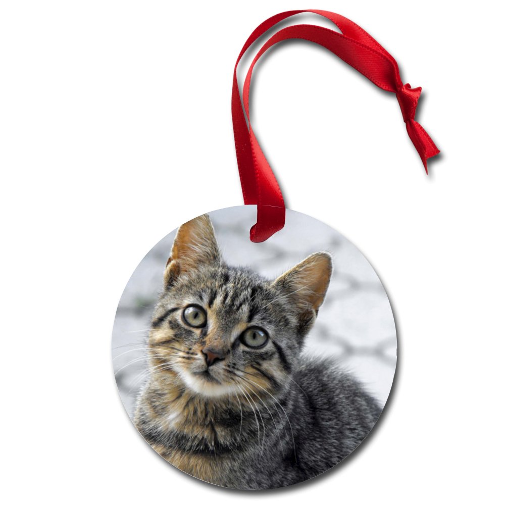 Custom Holiday Ornament with a Photo of Your Pet-Custom Holiday Ornament-I love Veterinary