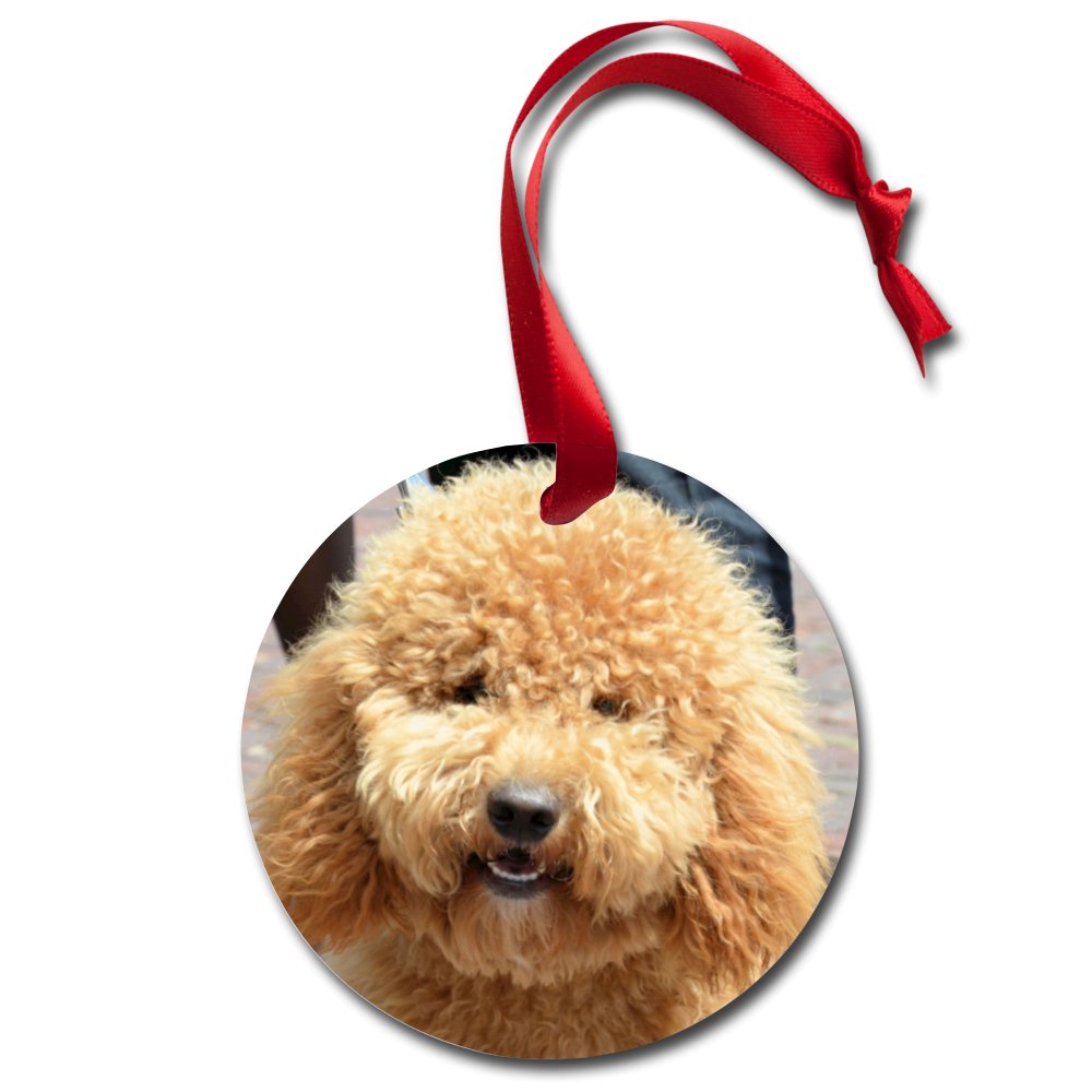 Custom Holiday Ornament with a Photo of Your Pet-Custom Holiday Ornament-I love Veterinary