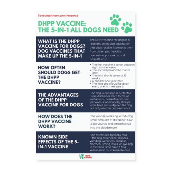DHPP Vaccine: The 5-IN-1 All Dogs Need Poster-Posters-I love Veterinary