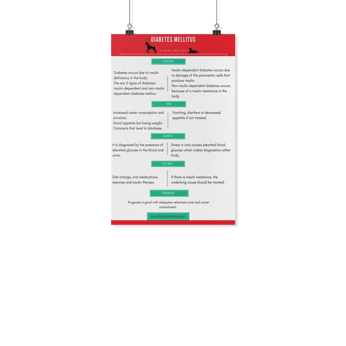 Diabetes Mellitus Poster-Posters-I love Veterinary