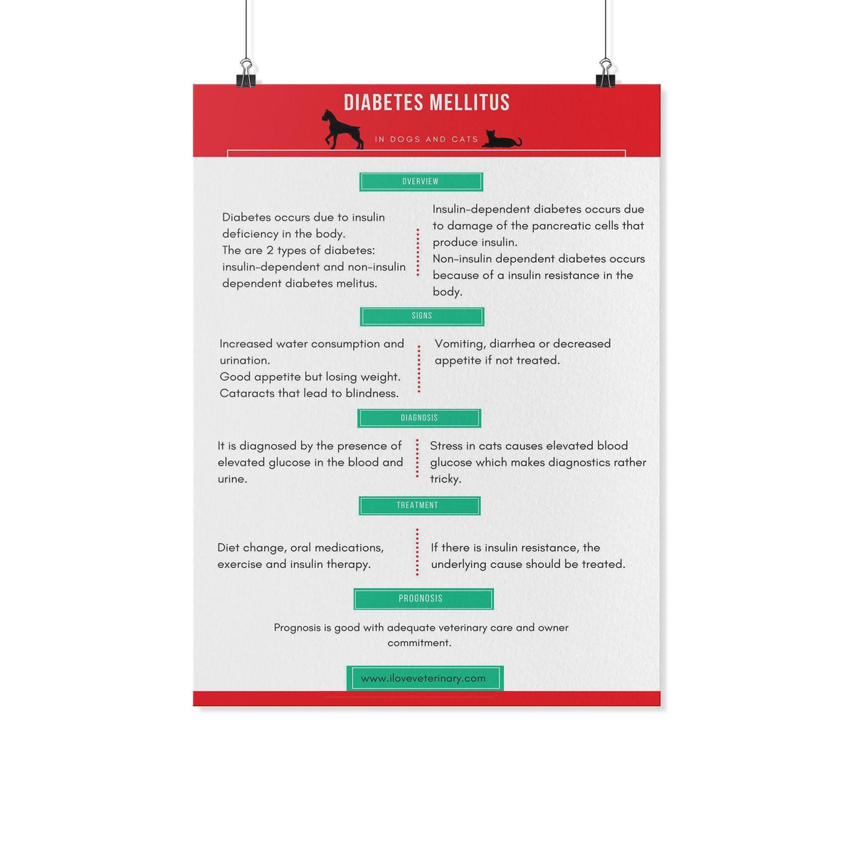Diabetes Mellitus Poster-Posters-I love Veterinary