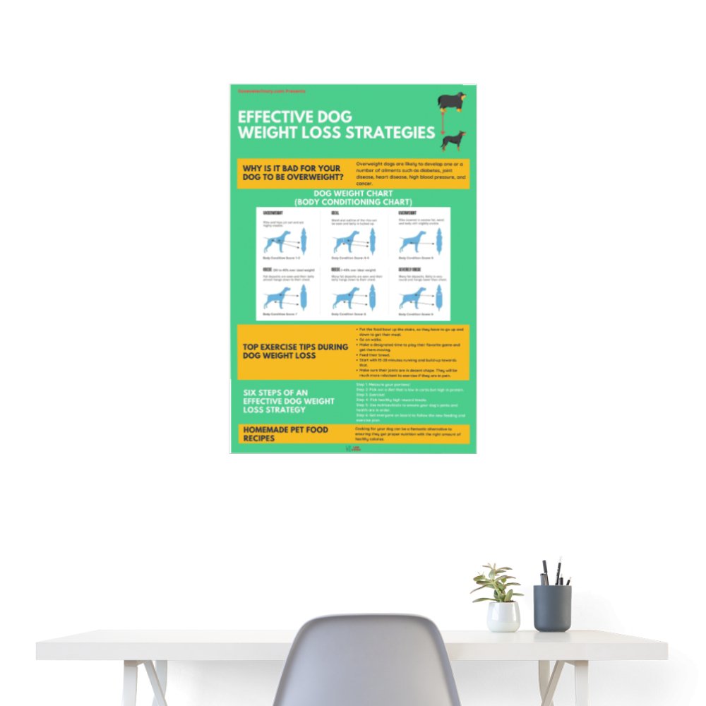 Effective Dog Weight Loss Strategies Poster-Posters-I love Veterinary