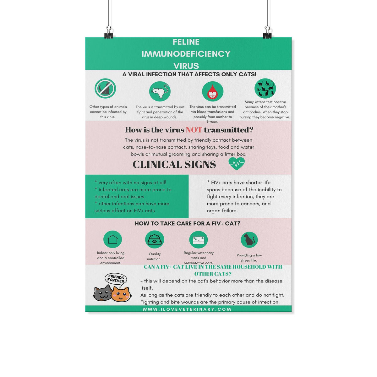 Feline Immunodeficiency Virus Poster-Posters-I love Veterinary