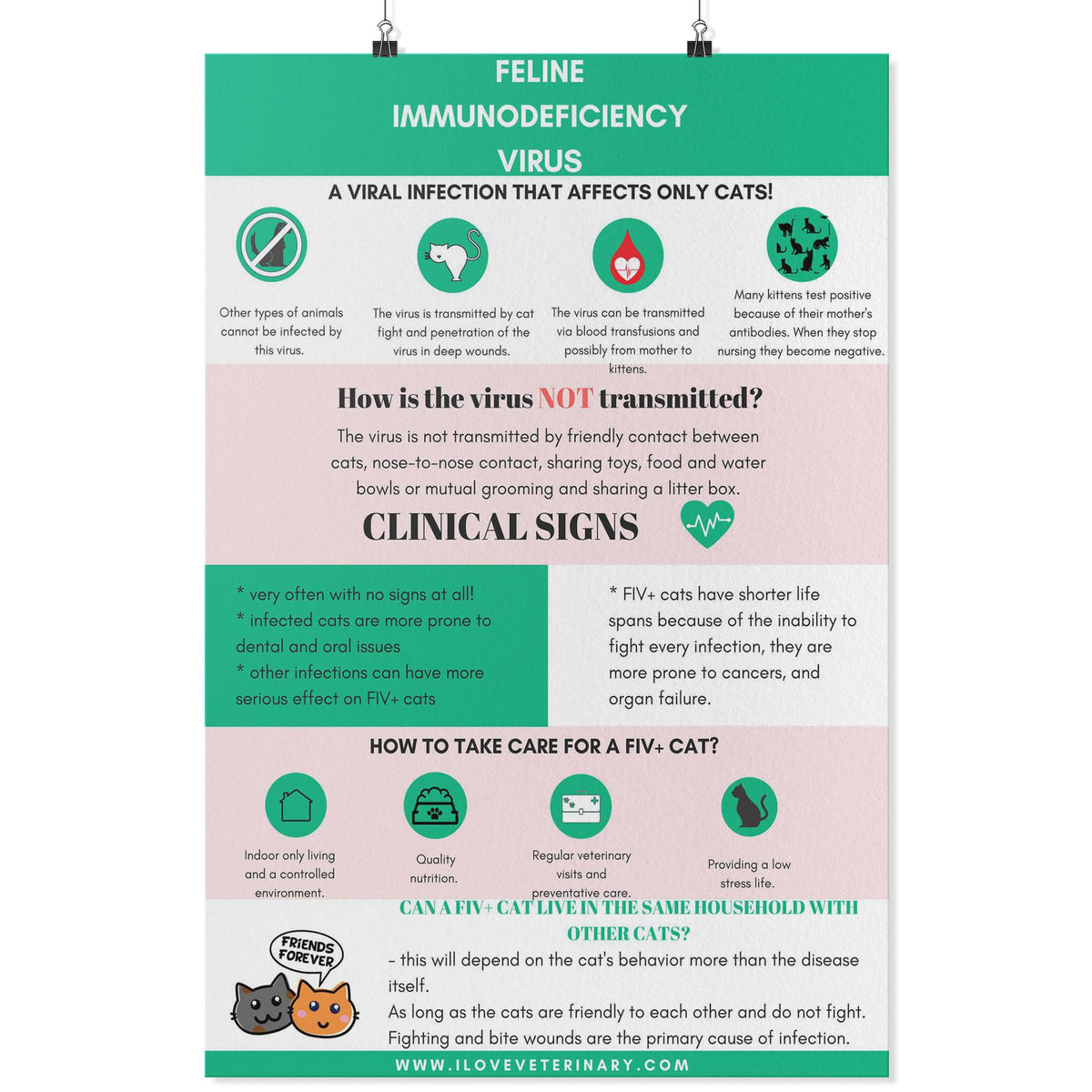 Feline Immunodeficiency Virus Poster-Posters-I love Veterinary