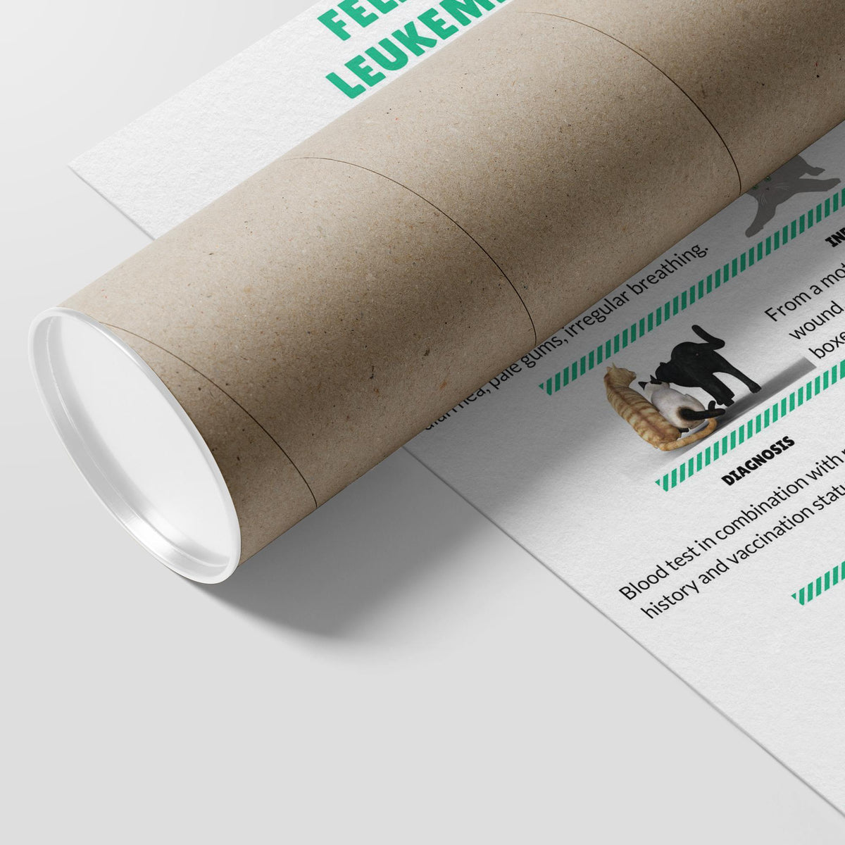 Feline Leukemia FELV Poster-Posters-I love Veterinary