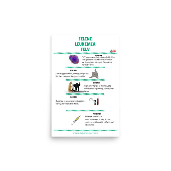 Feline Leukemia FELV Poster-I love Veterinary