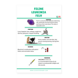 Feline Leukemia FELV Poster 8x12-Poster 8x12-I love Veterinary