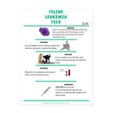 Feline Leukemia Poster 18x24-Posters-I love Veterinary