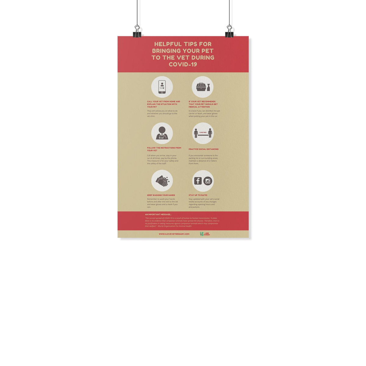 Helpful Tips for Bringing Your Pet to the Vet During COVID-19 Poster-Posters-I love Veterinary